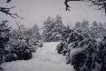 Hiver